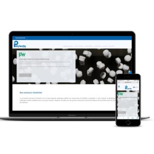Mock-up site Polytechs.fr